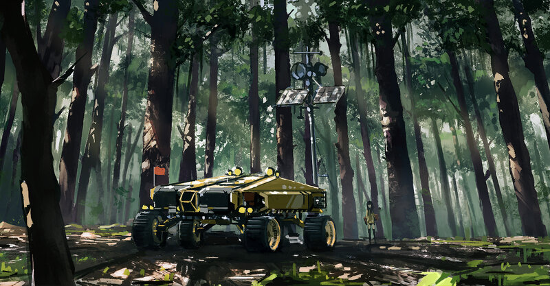 Yellow Rover in Forest