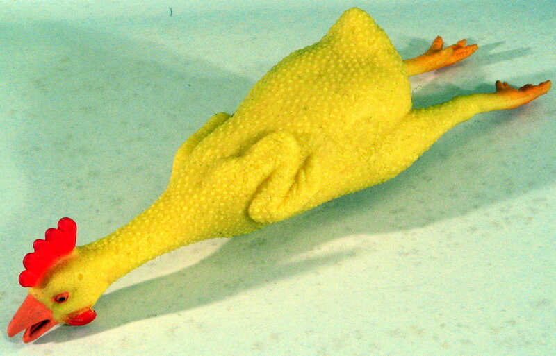 yellow rubber chicken toy