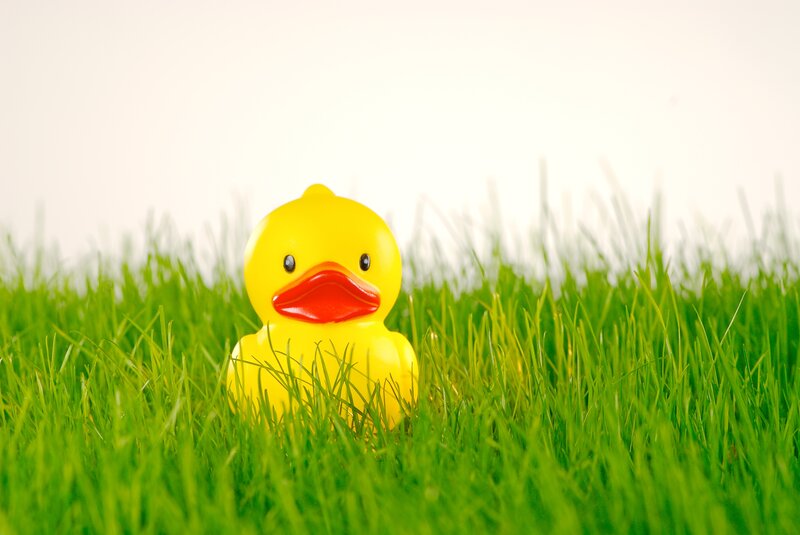 Yellow Rubber Duck — Calm