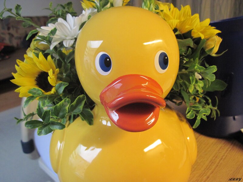 Yellow Rubber Duck — Cheerful
