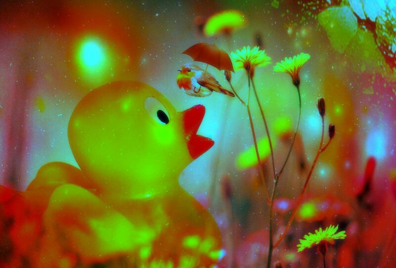Yellow Rubber Duck — Green