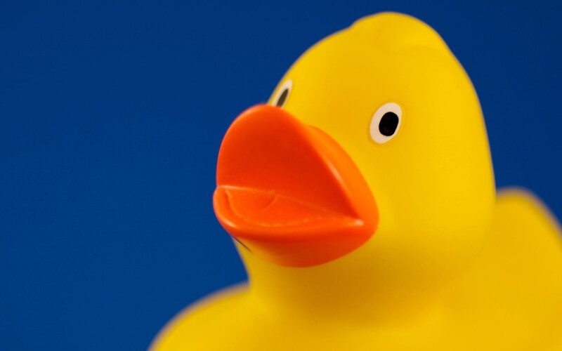 Yellow Rubber Duck — Neutral, Photograph, Orange Beak, Blue Background