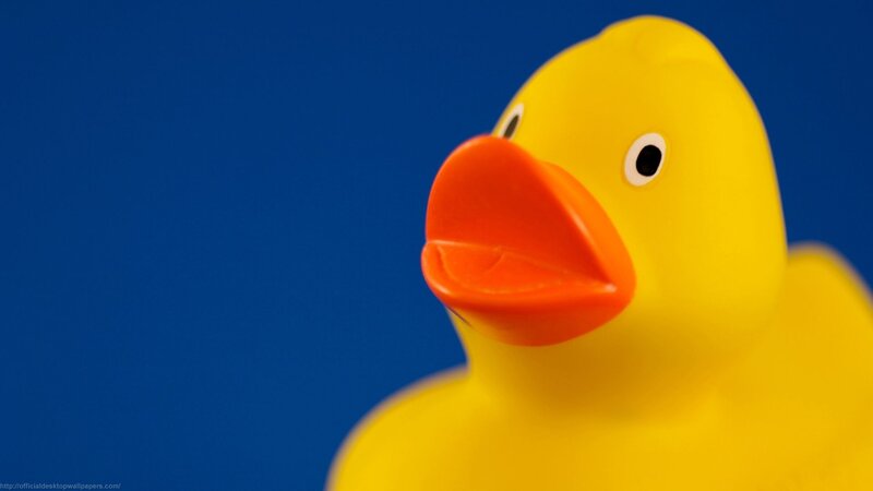 yellow rubber duck on blue