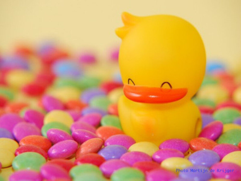 Yellow Rubber Duck — Playful