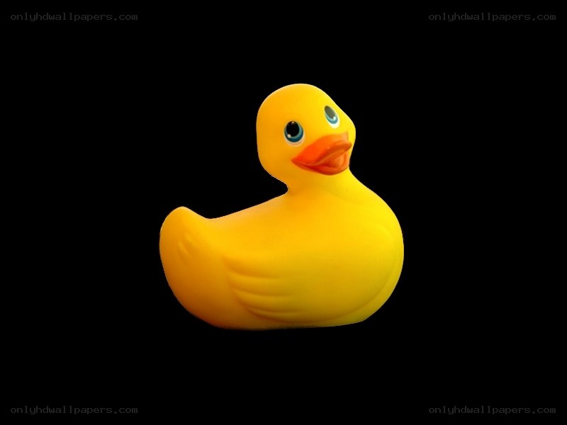 yellow rubber duck toy