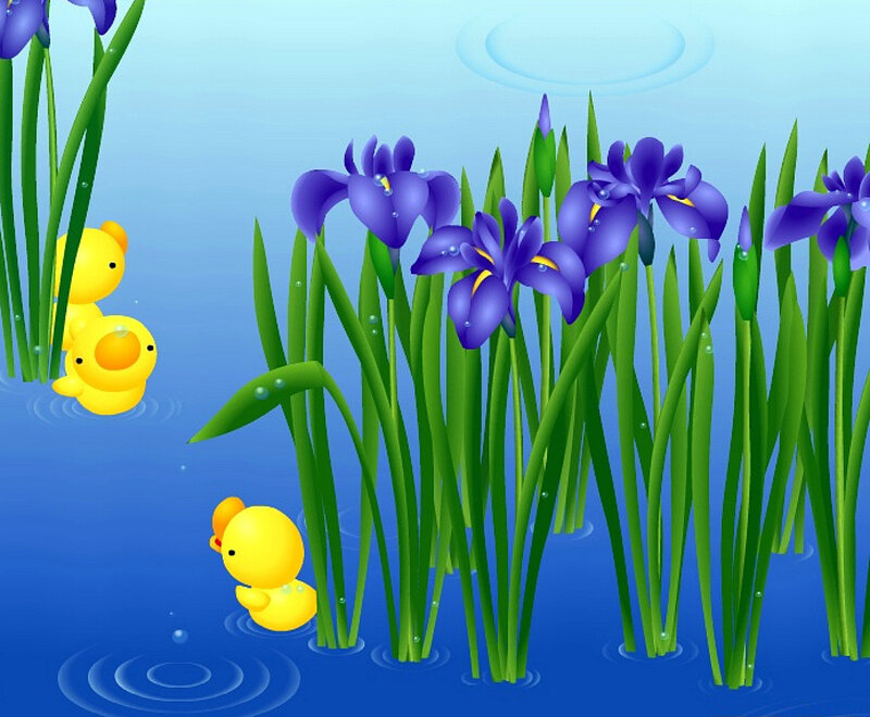 Yellow Rubber Ducks — Blue