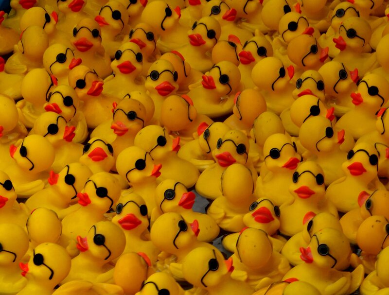 Yellow Rubber Ducks — Playful, Photograph