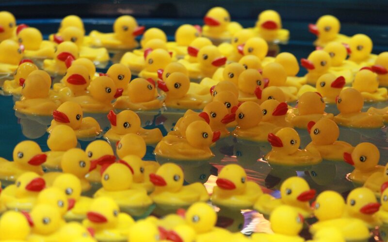 Yellow Rubber Ducks — Playful