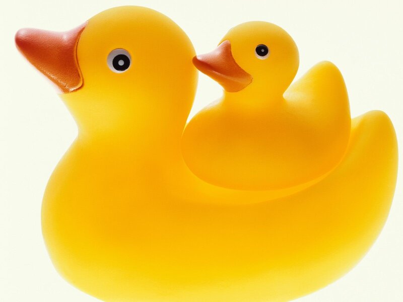 Yellow rubber ducks together