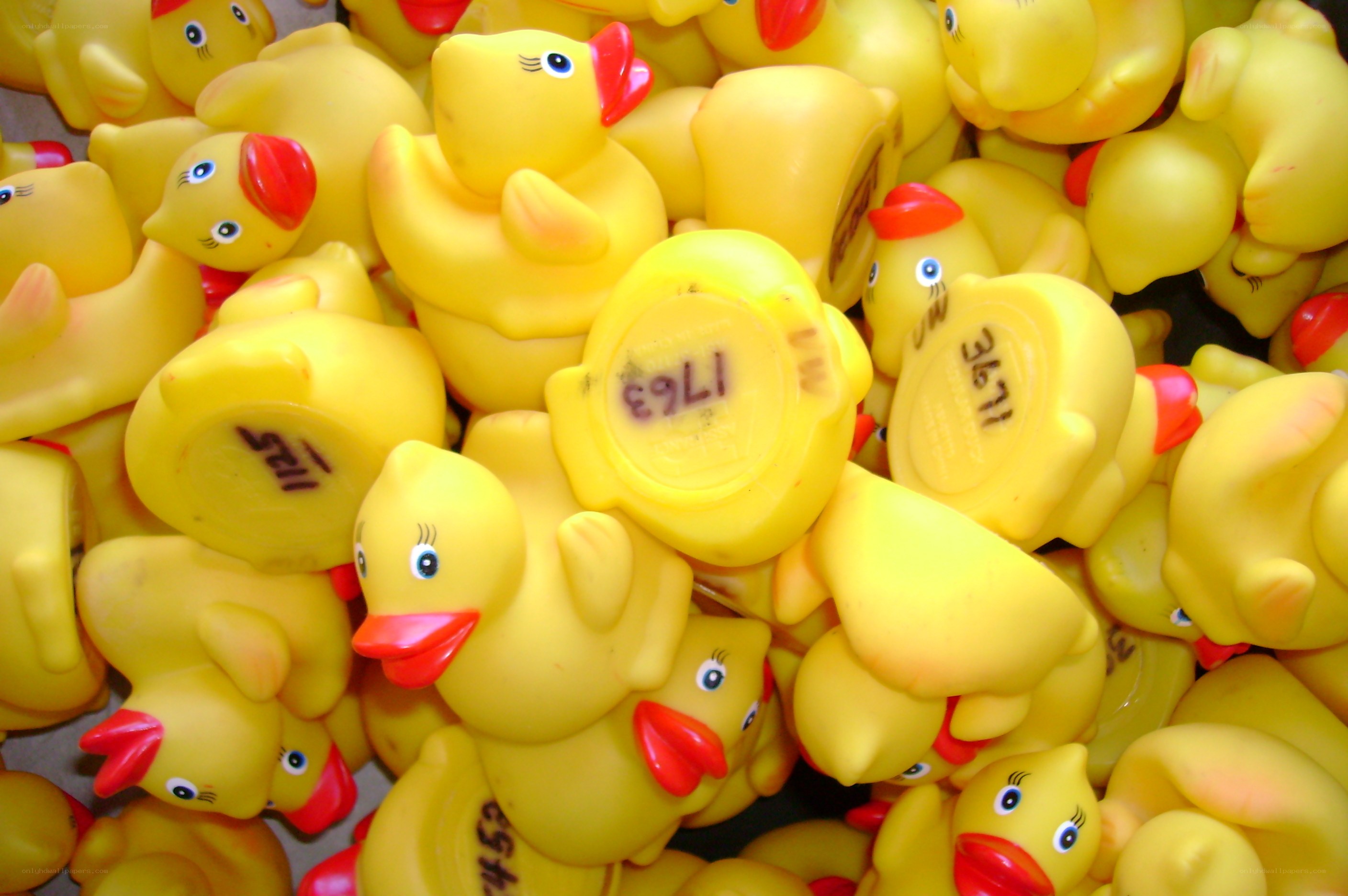 yellow rubber ducks