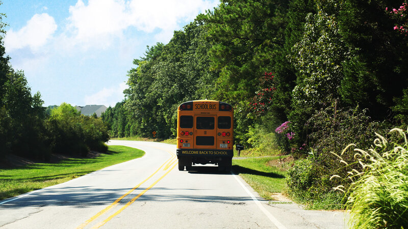 Yellow School Bus — Serene