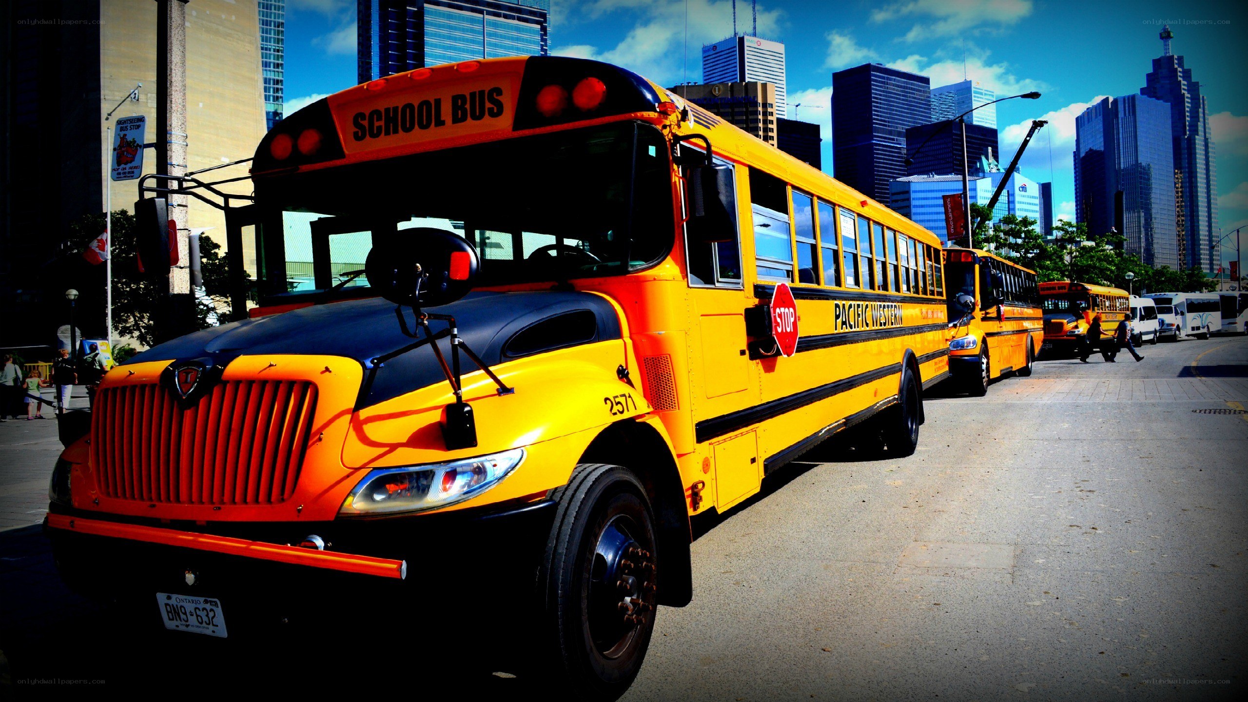 Yellow school buses in city