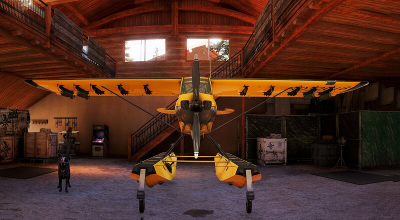 Yellow Seaplane in Hangar — Calm