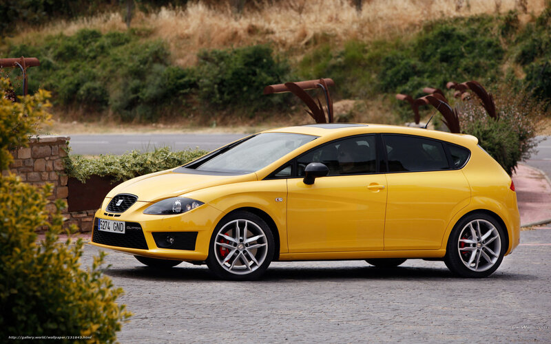 Yellow Seat Cupra Car — Calm