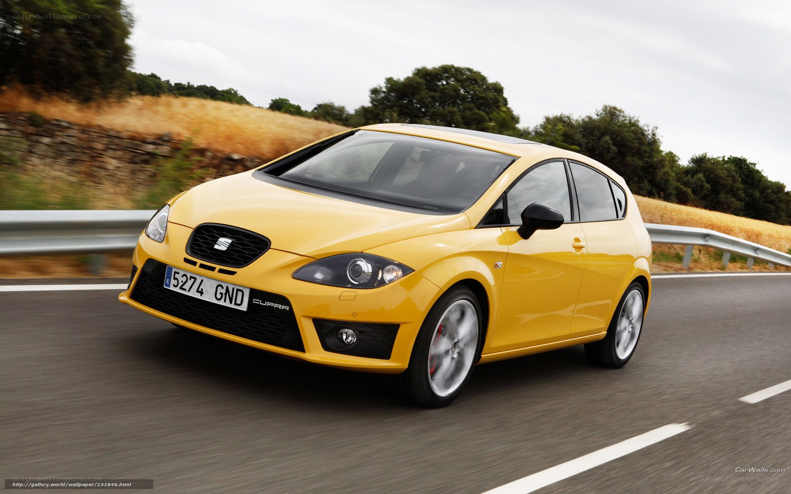 Yellow SEAT Cupra in motion