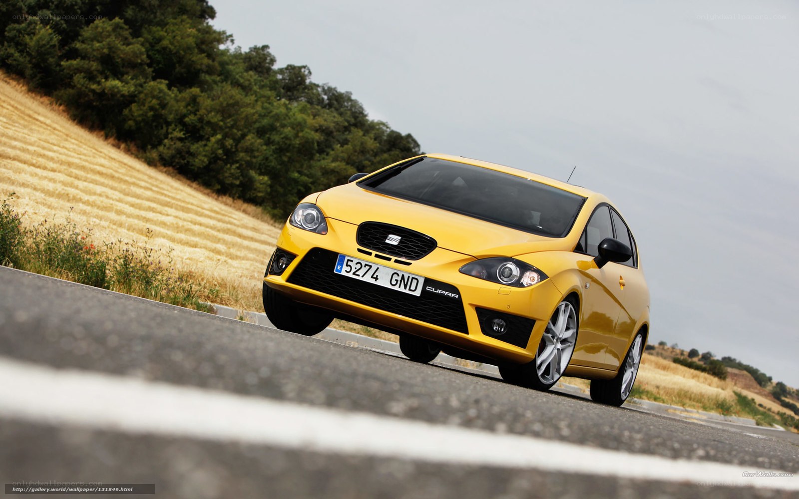 yellow seat cupra on country road