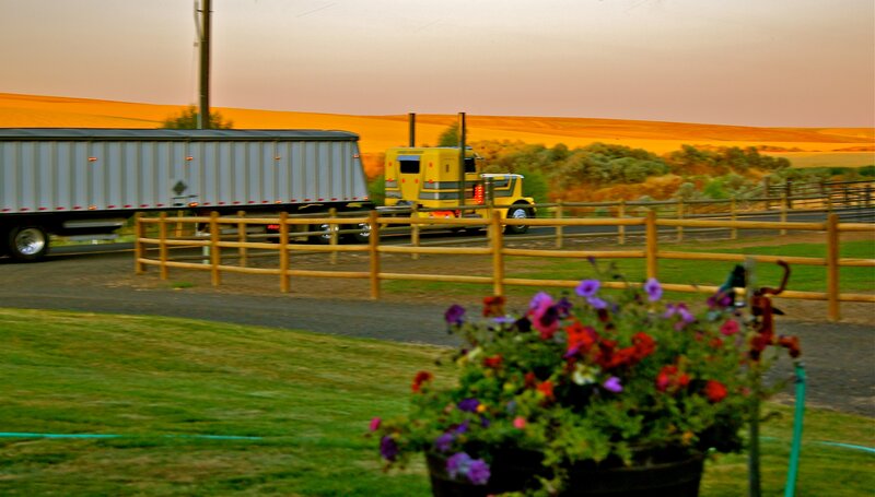 Yellow Semi-truck on Road — Green