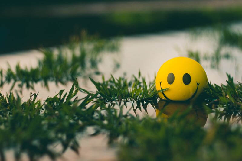 Yellow Smiley Ball — Calm, Photograph, Grass, Puddle