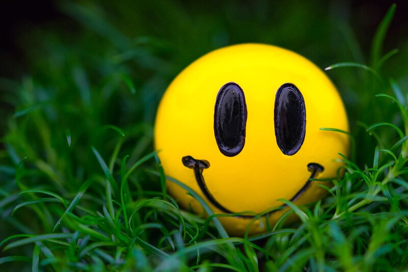 Yellow Smiley Ball — Calm, Photograph, Grass