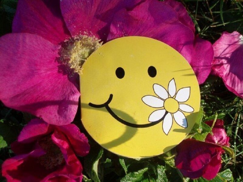 Yellow Smiley Face — Cheerful, Afternoon