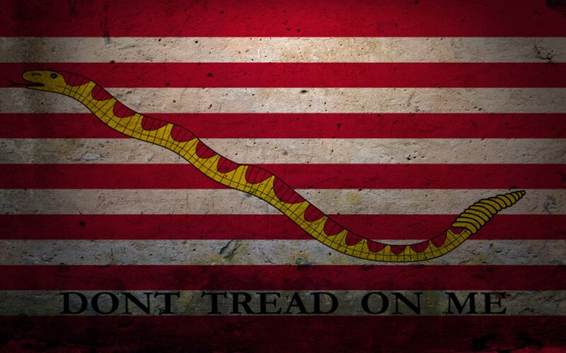 Yellow Snake on Flag