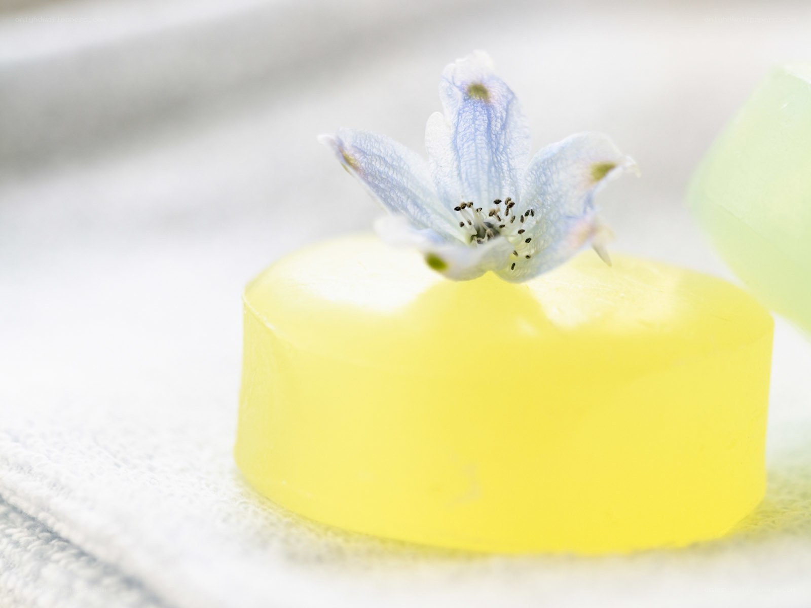 Yellow soap with flower