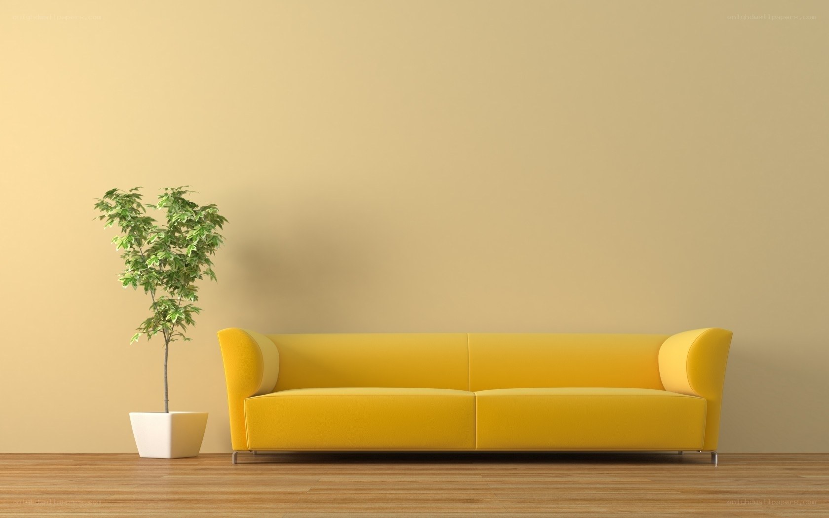 Yellow sofa in minimalist room