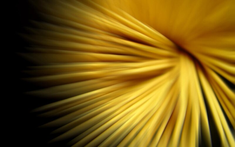 Yellow Spaghetti Strands