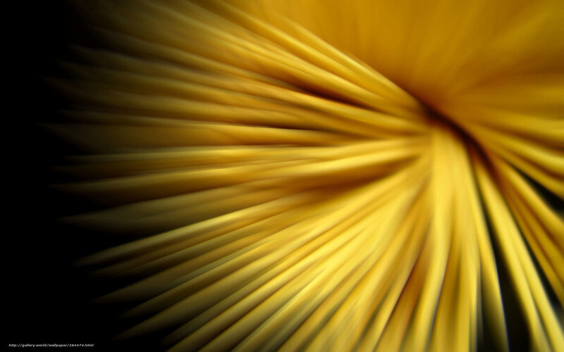 Yellow Spaghetto Strands