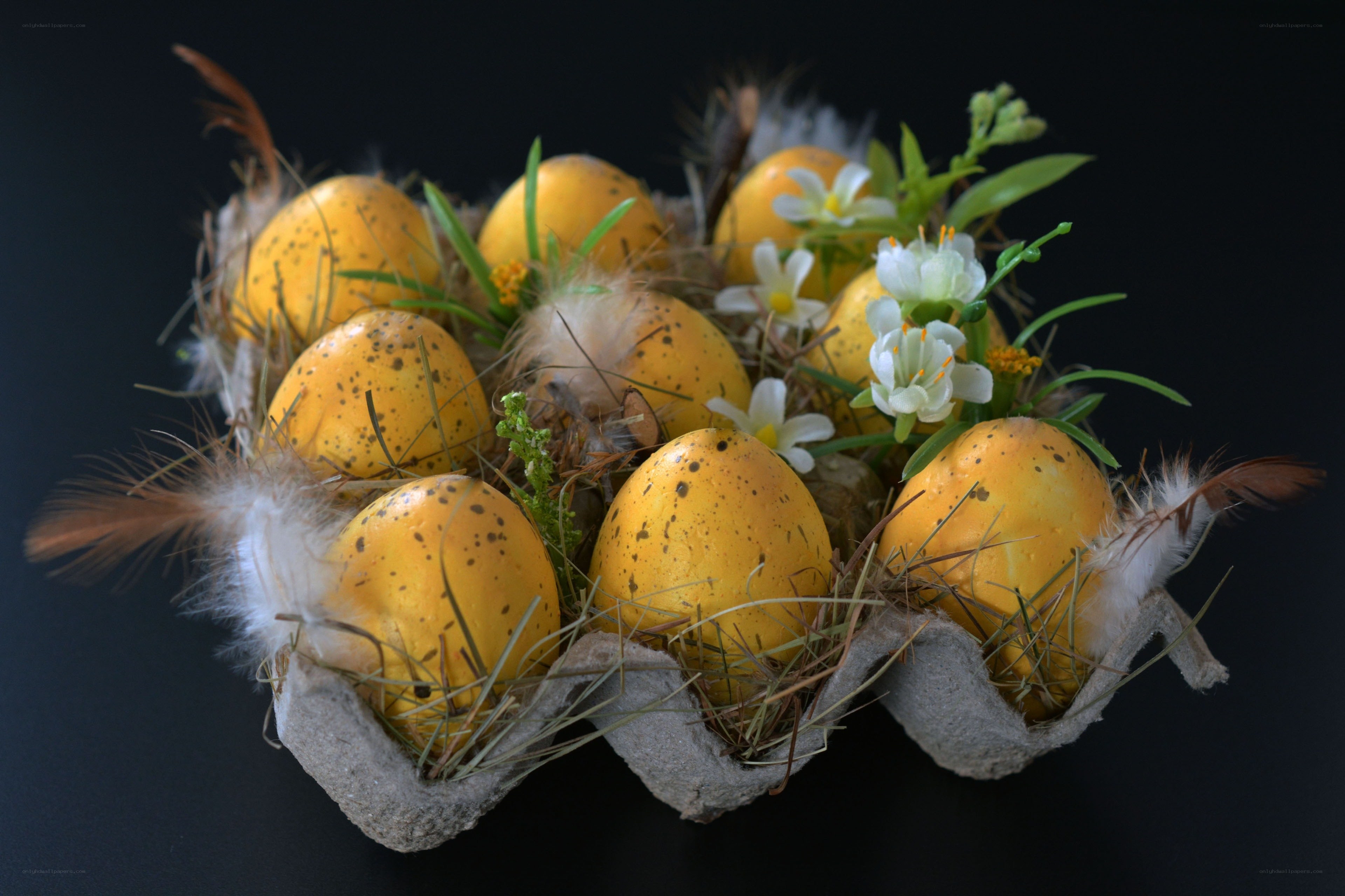 Yellow speckled eggs in nest