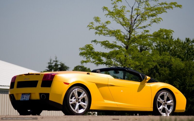 Yellow Sports Car — Calm, Afternoon, Photograph, Tree