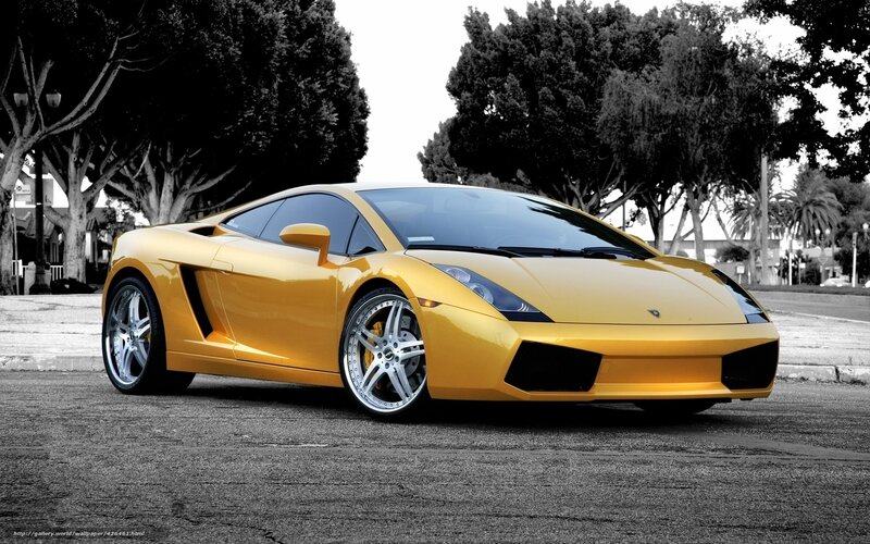 Yellow Sports Car — Dramatic, Afternoon, Photograph, Trees, Road