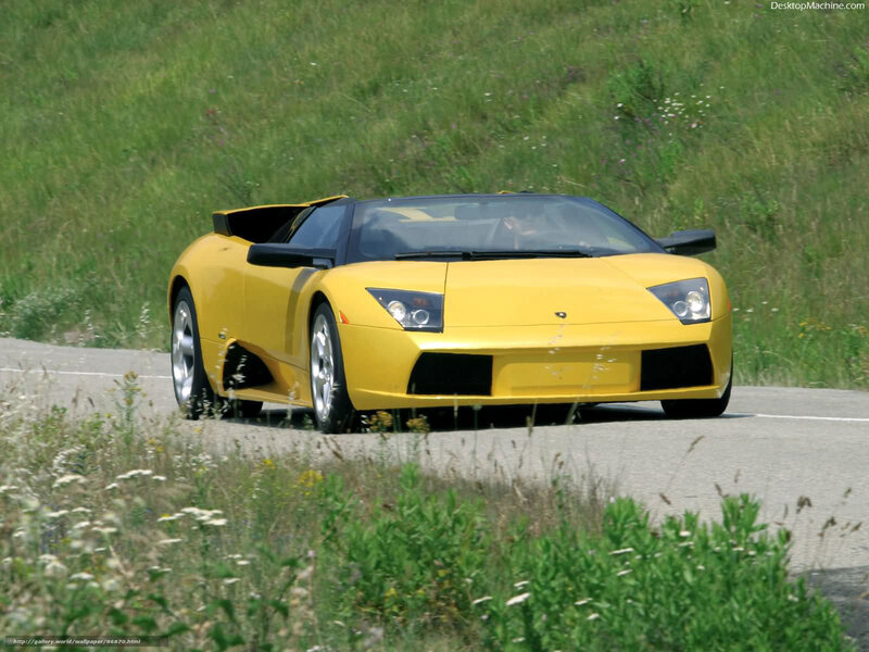 Yellow Sports Car — Dynamic, Afternoon, Photograph, Road, Grass, Driver