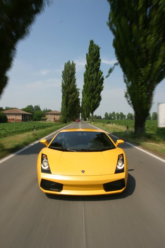 Yellow Sports Car — Dynamic, Afternoon, Photograph, Road, Trees, Field, Green