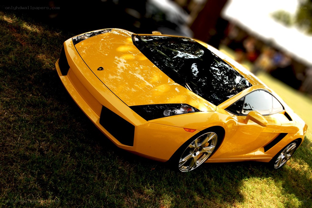 Yellow sports car on grass