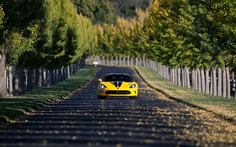 Yellow sports car on tree-lined road