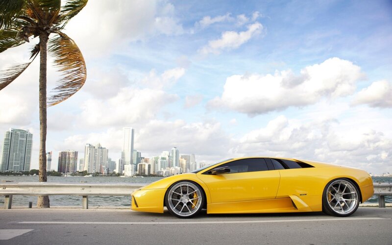 Yellow Sports Car — Palm Tree