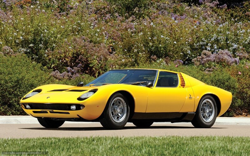 Yellow Sports Car — Serene, Afternoon, Photograph, Flowers, Grass, Road