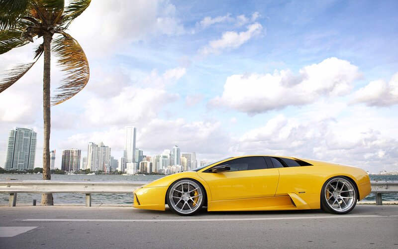 Yellow Sports Car — Serene, Afternoon, Photograph, Palm Tree
