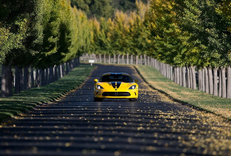 Yellow Sports Car — Serene, Autumn, Photograph