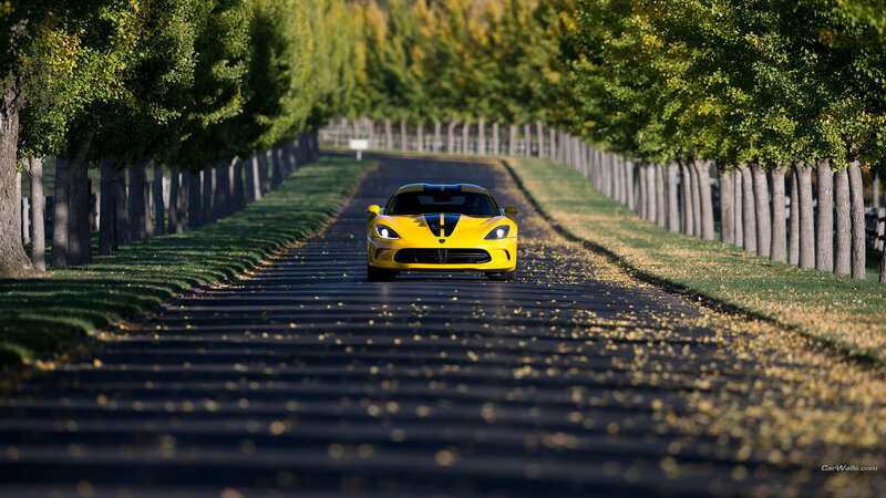 Yellow Sports Car — Serene, Autumn, Photograph, Tree-lined Road