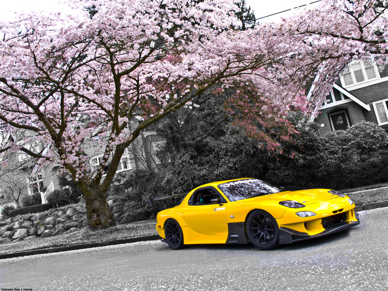 Yellow Sports Car — Serene, Spring