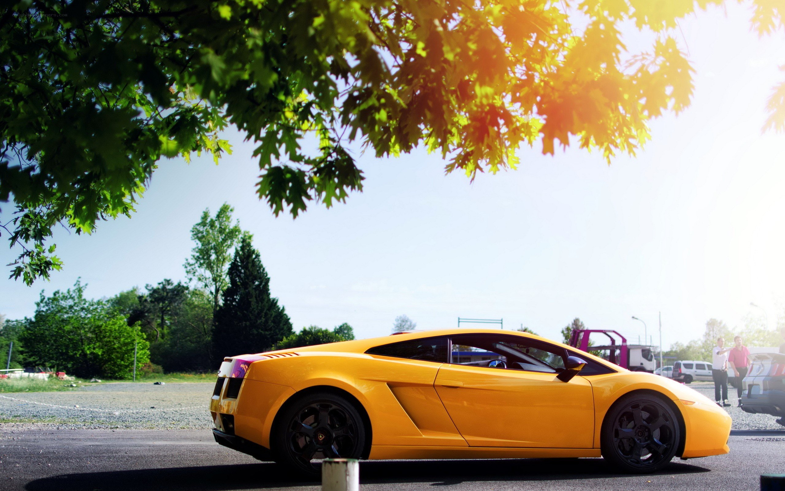 Yellow sports car under tree