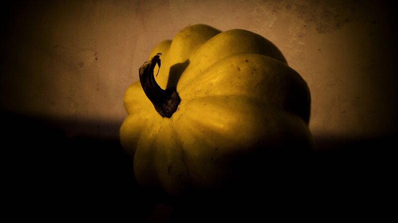 Yellow squash in dim light