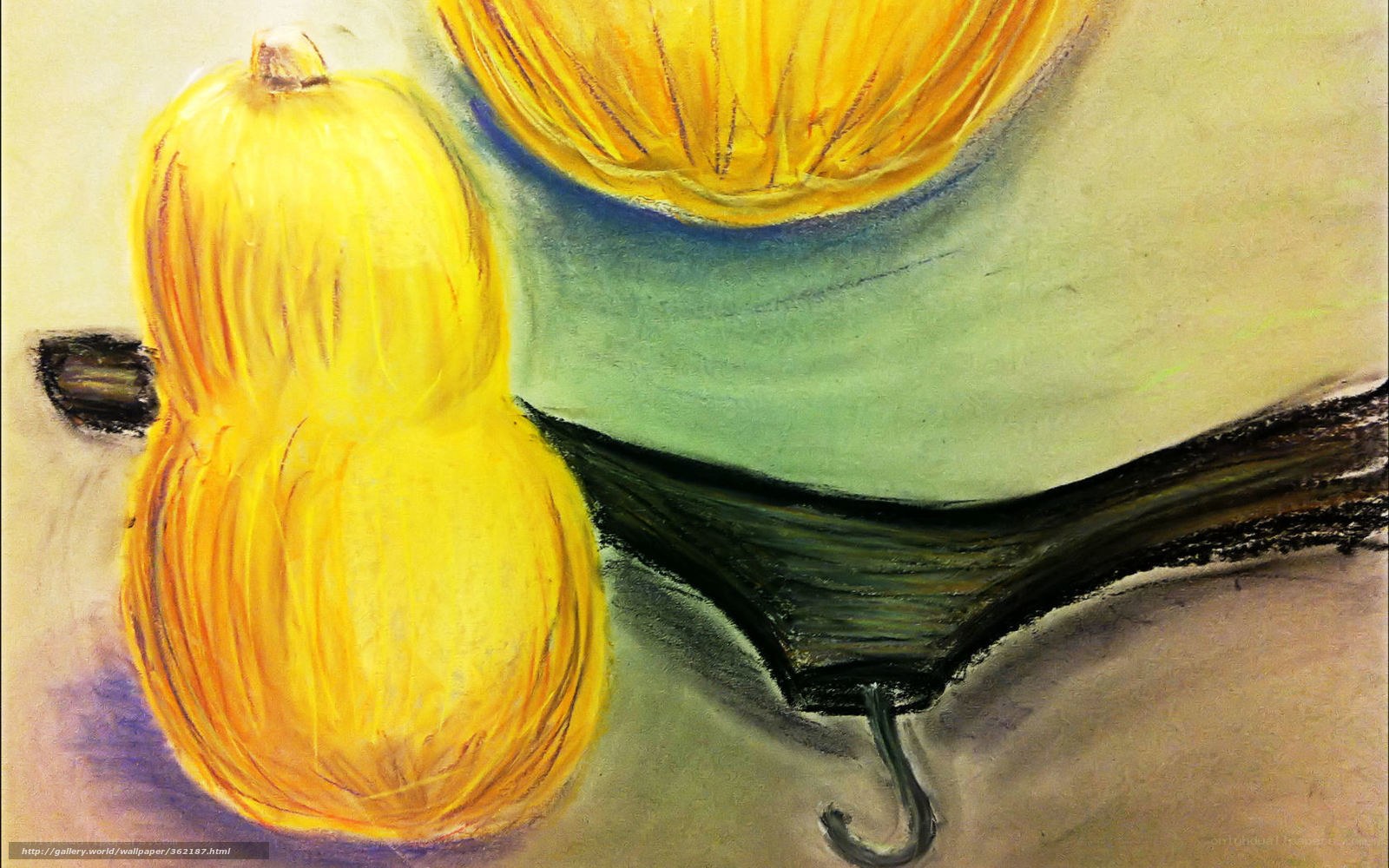 Yellow squash still life