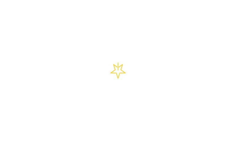 yellow star icon