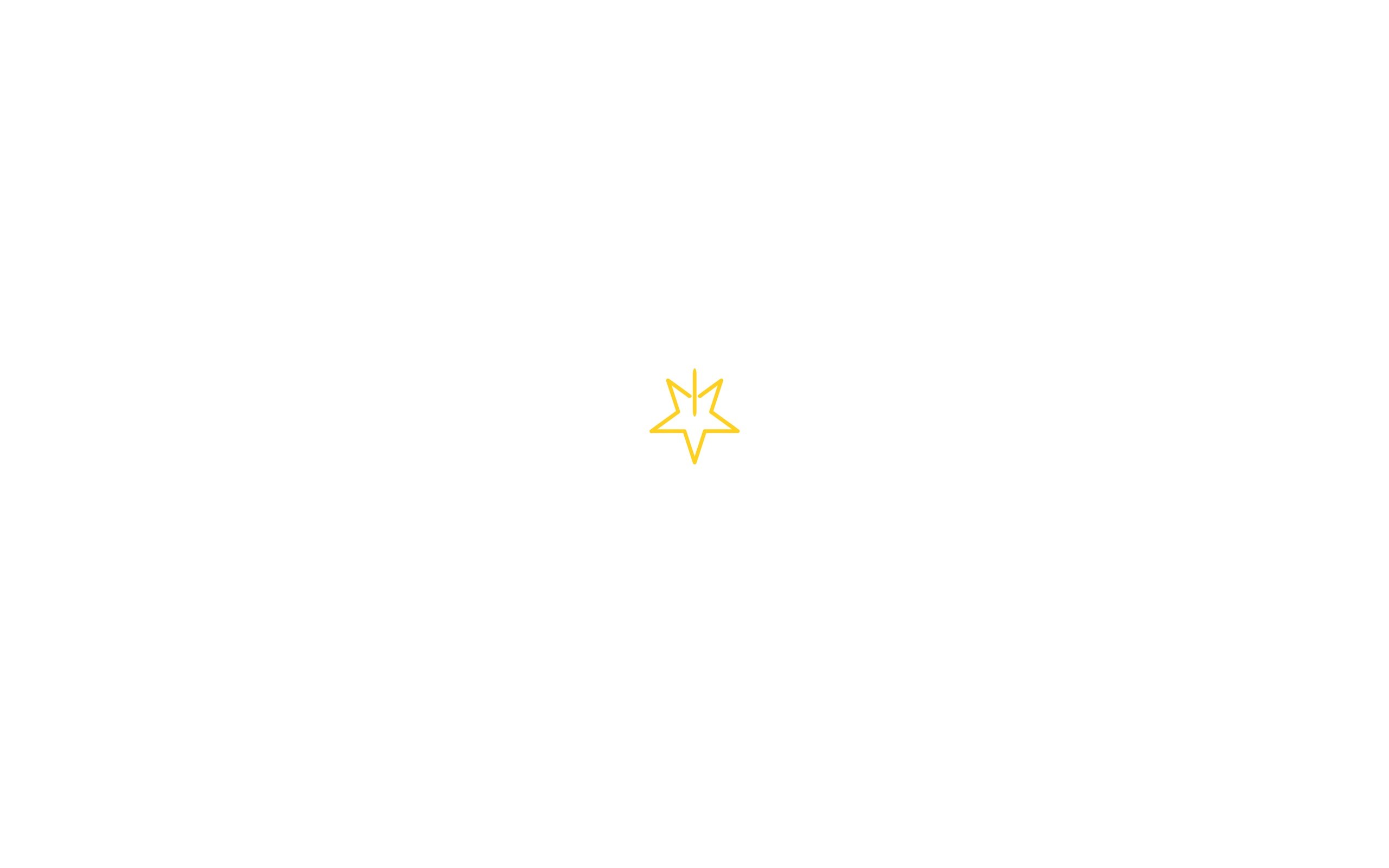 yellow star icon