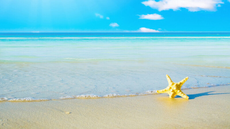 Yellow Starfish on Beach — Blue