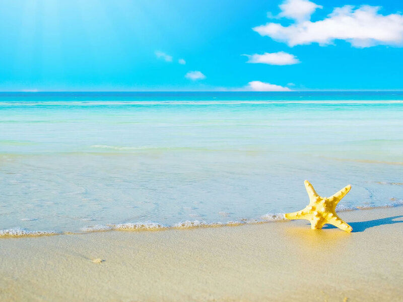 Yellow Starfish on Beach
