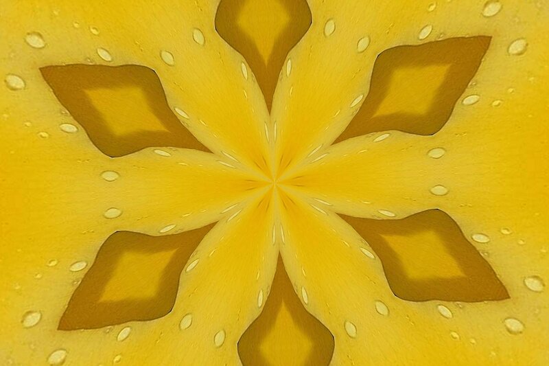 Yellow Starfruit Pattern